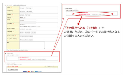 別の住所へ送る説明画像