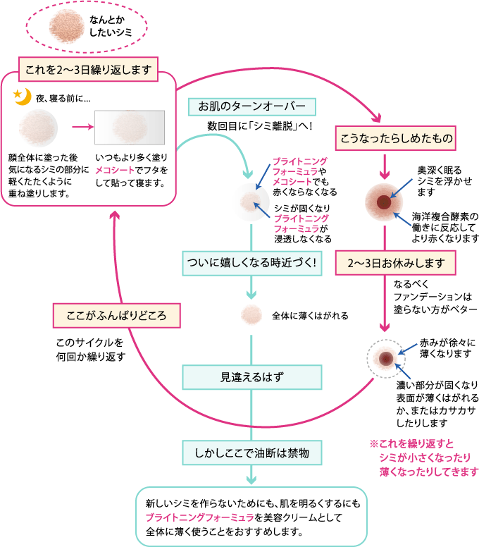 新しいシミを作らないためにも、肌を明るくするにもブライトニングフォーミュラを美容クリームとして全体に薄く使うことをおすすめします。